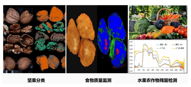高光谱在食品安全的应用 高光谱在食品安全的应用