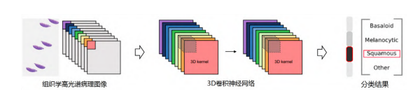 1689648505453510.png image.png