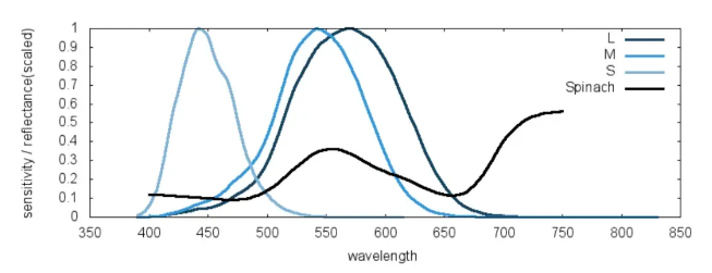 1692170256356121.png image.png