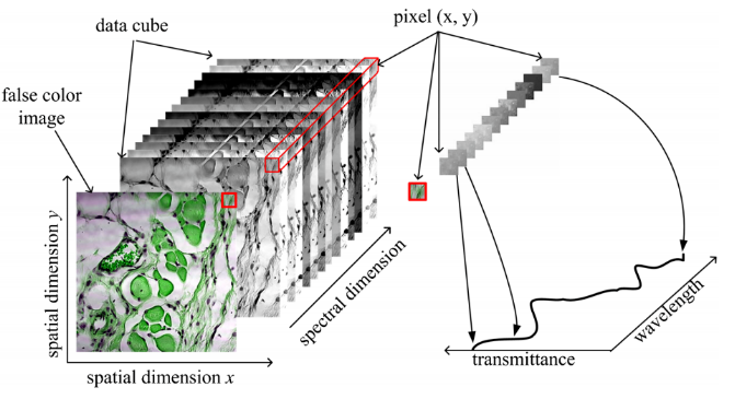 1695345439138009.png image.png