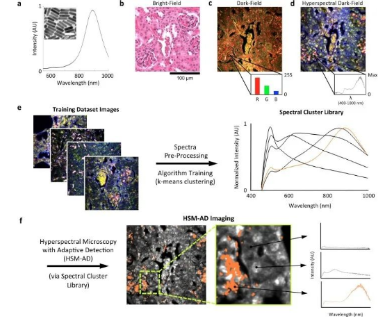 1695345471891429.png image.png