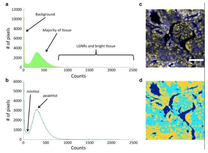 1695345491120211.png image.png