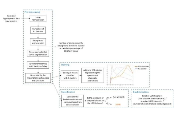 1695345500695117.png image.png