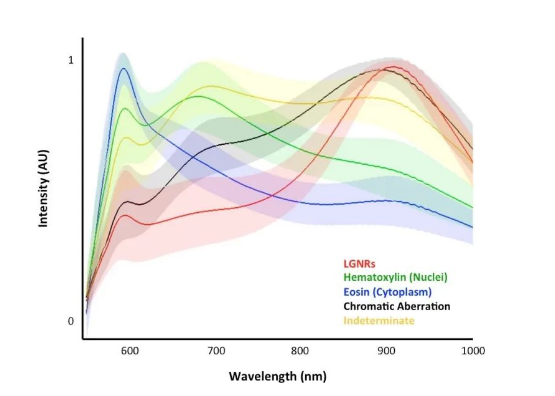 1695345514953555.png image.png