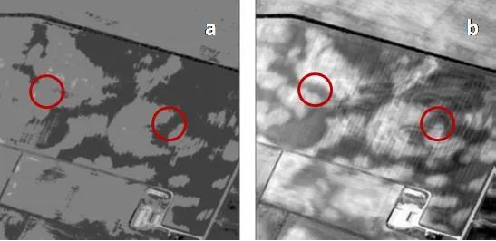 1695687631344698.png image.png