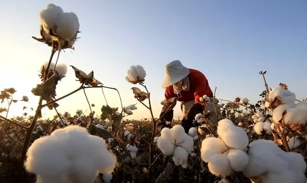 1697524845805463.png image.png