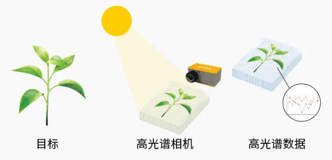 1697594543480379.png image.png