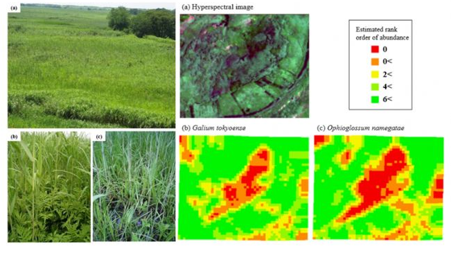 无人机高光谱相机影像植被、草皮覆盖度遥感估算 无人机高光谱相机影像植被、草皮覆盖度遥感估算