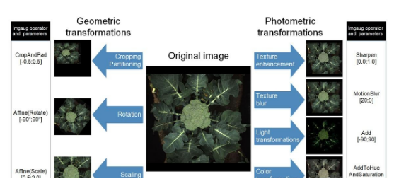 1690955415708229.png image.png