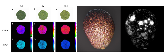 1690955427683359.png image.png