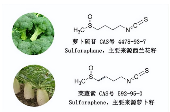 1690955441165215.png image.png