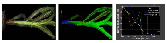 1690955454851931.png image.png