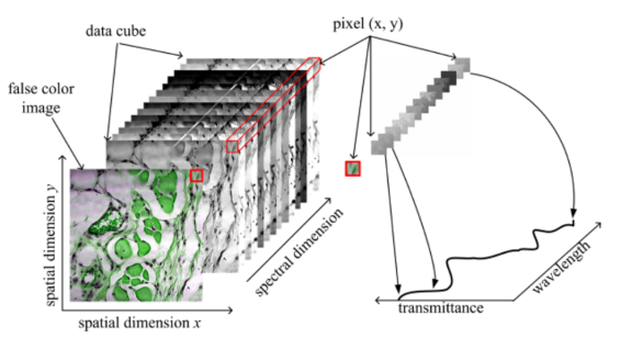 1690955494103045.png image.png