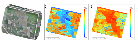 1690955554862039.png image.png