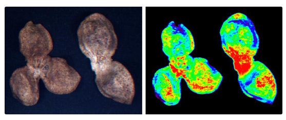 1690955671621776.png image.png