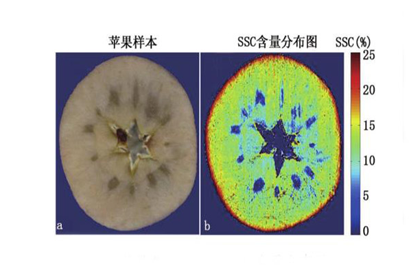 1691393701126488.png image.png