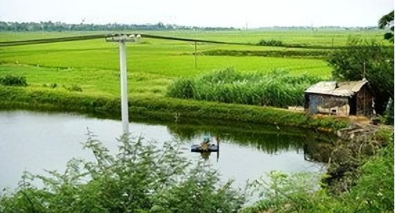 1691715898906333.png image.png