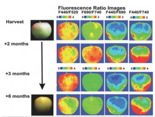 1691716440242745.png image.png