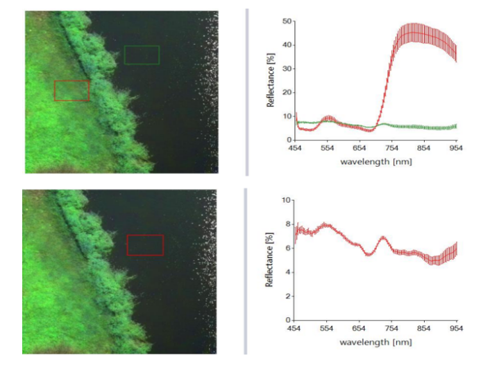 1692693223338902.png image.png