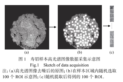 1686012666103519.png 图片2.png