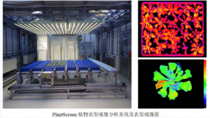 在植物表型组学应用中使用近红外光谱学的优势和限制