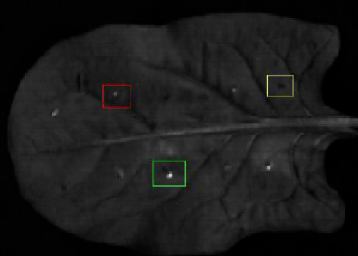 1698215679985866.png image.png