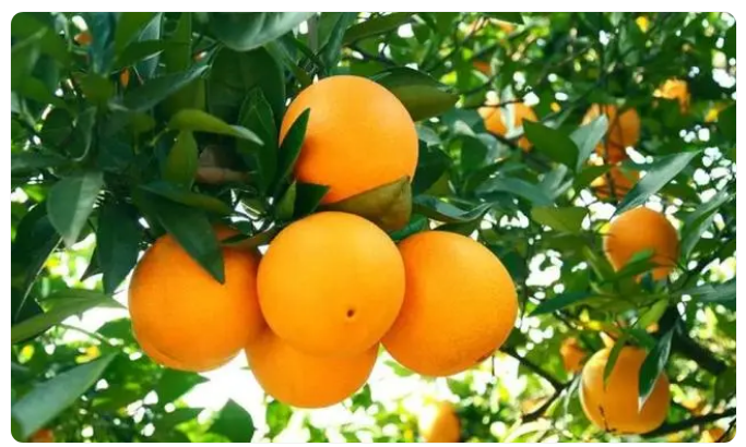 1707119334532000.png image.png