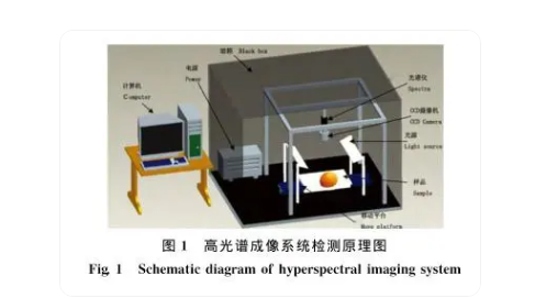 1707119363602749.png image.png