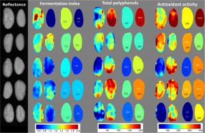高光谱成像技术实现无损检测西兰花农药残留